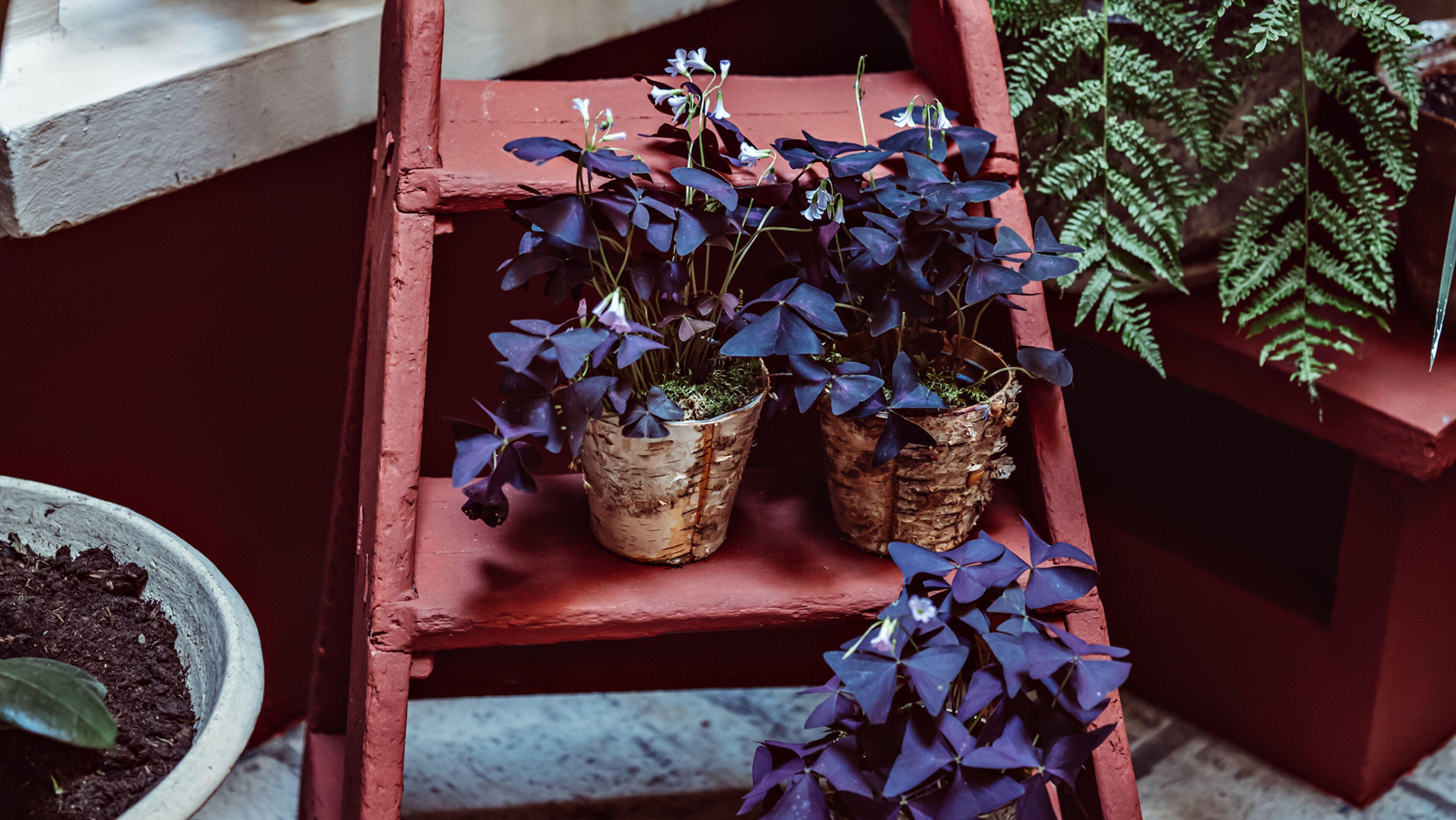 Maison Saintonge Hotel