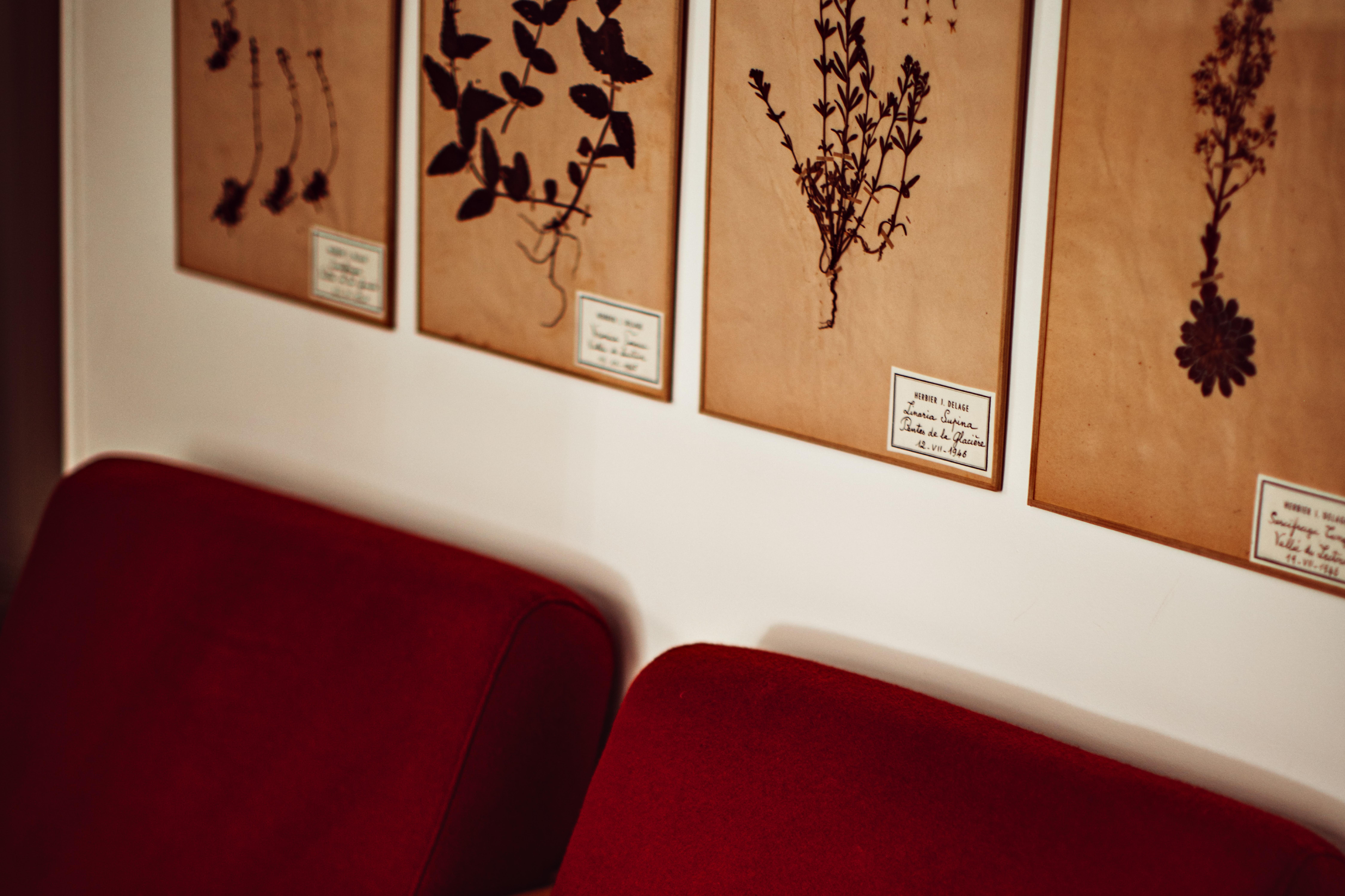 Hotel Maison Saintonge 4*